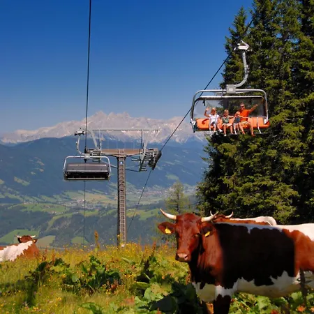 Dom wakacyjny Nikola By Interhome *