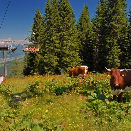 Holiday home Nikola By Interhome Flachau