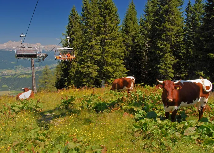 Holiday home Nikola By Interhome Flachau